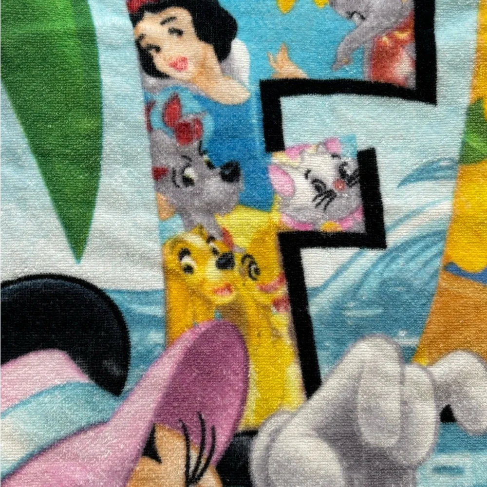 Mickey Mouse Beach Towels (set 2) Disney Family Vacation Beach Pool Swim Towels